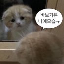 효자동솥뚜껑&보리밥 남양주다산점