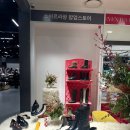 프리지아벨라플라워