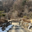 갈기산 포레스트 힐 이미지