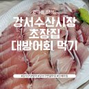 갯마을 진도집 | 겨울 대방어 맛집 강서 수산 시장 회떠서 초장집에서 먹기 내돈내산