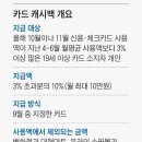 캐시백