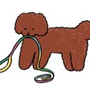 딸기펫살롱 이미지