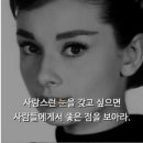 씨에프모텔 이미지