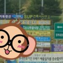 청벽거북 이미지