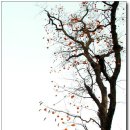 둔포약국 이미지