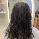 영지세탁 이미지