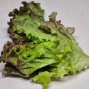 햇빛 좋은 PT 이미지