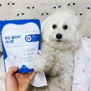 화이트덴탈 | 강아지 치석제거 덴탈 껌 추천, 시나몬 개껌 애견간식