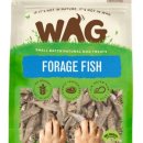 앤디스펫컴퍼니 이미지