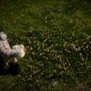 초콜릿팩토리 이미지