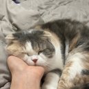 언양 동물병원 이미지