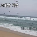 바닷가모래알
