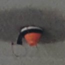 주식회사 더물 이미지