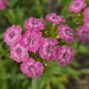 경기둘레길 안성42코스 이미지