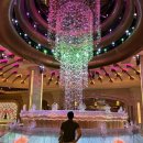 마카오게임장 이미지