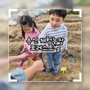 도안농장 | 용인 체험농장 포레스트벨 후기 ｜아이와 함께한 자연체험 찐후기