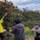 대기철쭉꽃농촌체험휴양마을 이미지