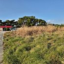 마망펜션 | 정동진펜션 찾다가 만난 조용한 힐링숙소 / 마망펜션 후기