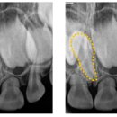 강남웰치과의원 이미지