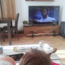 콩깍지호스텔 이미지