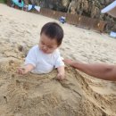 순양식당 이미지