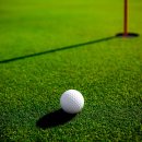 루나엑스CC 플레이엑스 골프연습장 이미지