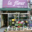 라플레르 이미지