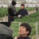 태석농장 이미지