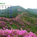 깔아보이소