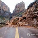ZION 이미지