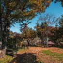 라디오스타박물관 이미지