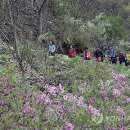 향로산 약수터 이미지