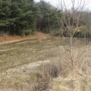 보은목장 이미지