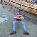 하나월드여행 | 홍천소노벨 비발디파크 D동 오션월드 가족여행 솔직 후기🌊