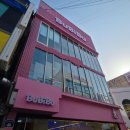 PARTNER SHOP(파트너 샵) | 피크민 피규어 | 대전 소품샵 부비부 '피크민 테라리움 컬렉션 2' 내돈내산 후기!