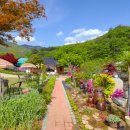 홈당골펜션 이미지