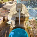 약수터민박 이미지