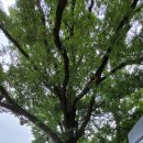 생골약수터 이미지