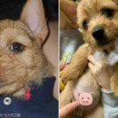 알콩달콩 이미지