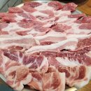 119딧고기 이미지