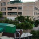 금호초등학교병설유치원 이미지