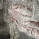 청암수산 - 완도군 | 청암수산