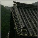 부안상록해수욕장 이미지