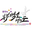 용인대 부부 백호 태권도장 이미지