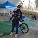 어등대교(거점터미널) 이미지