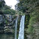 노블피아호텔 이미지