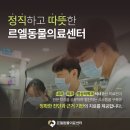 디디동물병원 | 산청군동물병원 13살 푸들의 십자인대 파열 및 슬개골 탈구 교정 , TPLO + TTT 수술 케이스