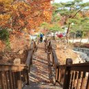 자연의쉼터 | 가을 힐링여행지 강화군 ‘석모도 수목원’, 서해바다와 숲이 만나는 자연의 쉼터