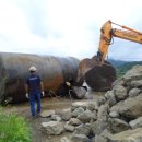 겸면주유소 이미지