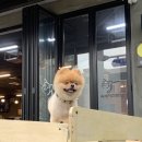 삼겹세상석적점 이미지